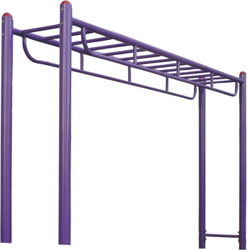 IRD-8 Elementary and secondary school ladders
