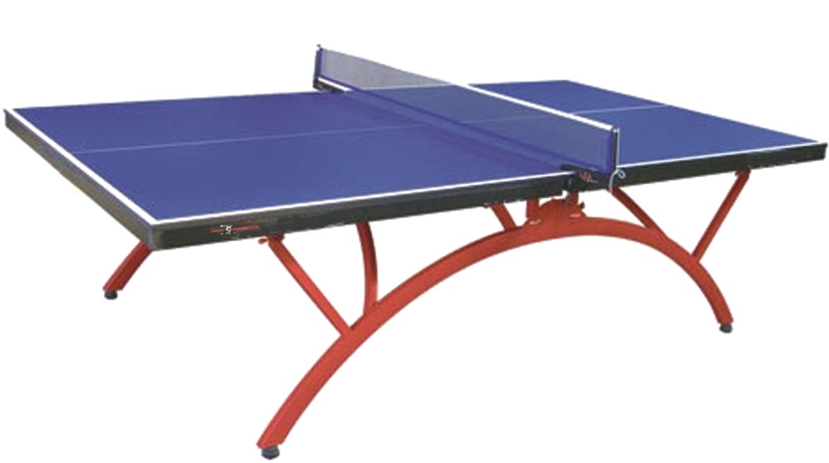 IRPPQ009 Single Folding Advanced Mobile Table Tennis Table