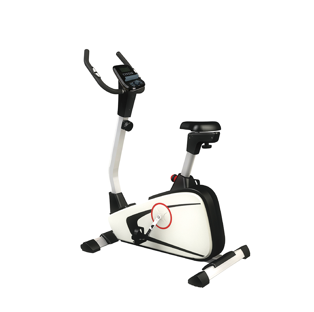IREB1306PM1 Vertical Exercise Bike